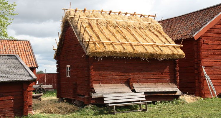 Exempel Disagården