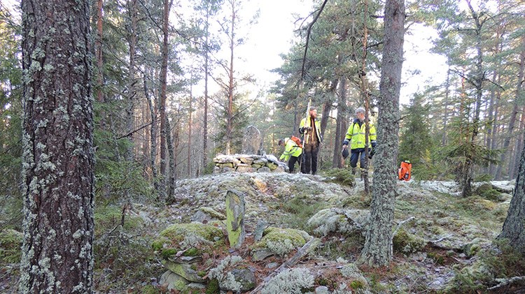 Arkeologiska strapatser i skog och mark