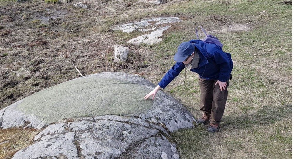 En handbok i runstensvård