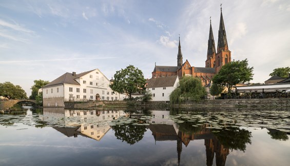 Bild på Besök Upplandsmuseet!