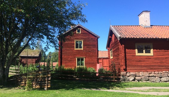 Bild på Disagården - vårt friluftsmuseum