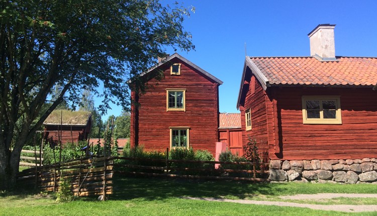 Disagården - vårt friluftsmuseum