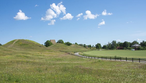 Bild på Arkeologi i Gamla Uppsala